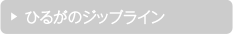 ひるがのジップライン